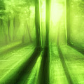 Art - A Green Day
