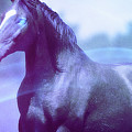 Art - Mighty Horse